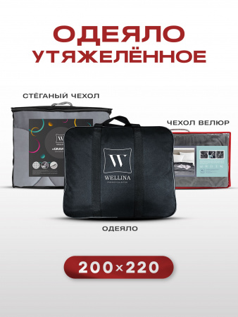 Купить Утяжеленное сенсорное одеяло WELLINAGRAVITY 200х220 темно-серый 12кг WGS-22 по цене  руб.