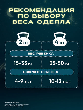 Купить Утяжеленное сенсорное одеяло WELLINAGRAVITY 110х140 белое 2кг WGS-11 по цене  руб.